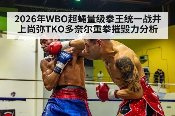2026年WBO超蝇量级拳王统一战井上尚弥TKO多奈尔重拳摧毁力分析